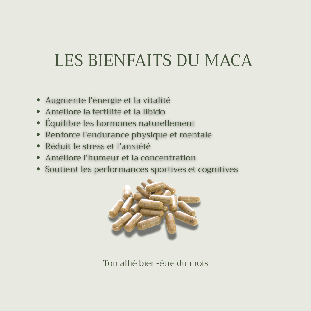Macca - Gélules