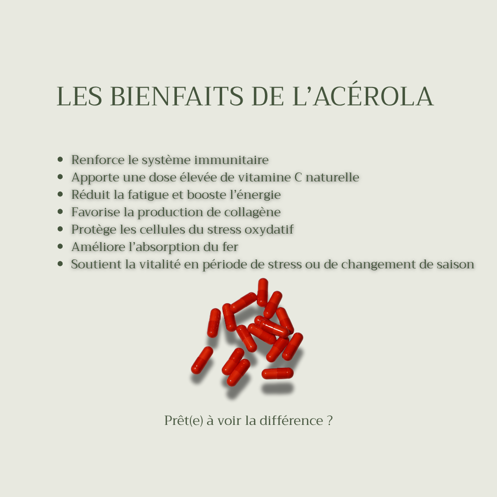 Acerola - Gélules