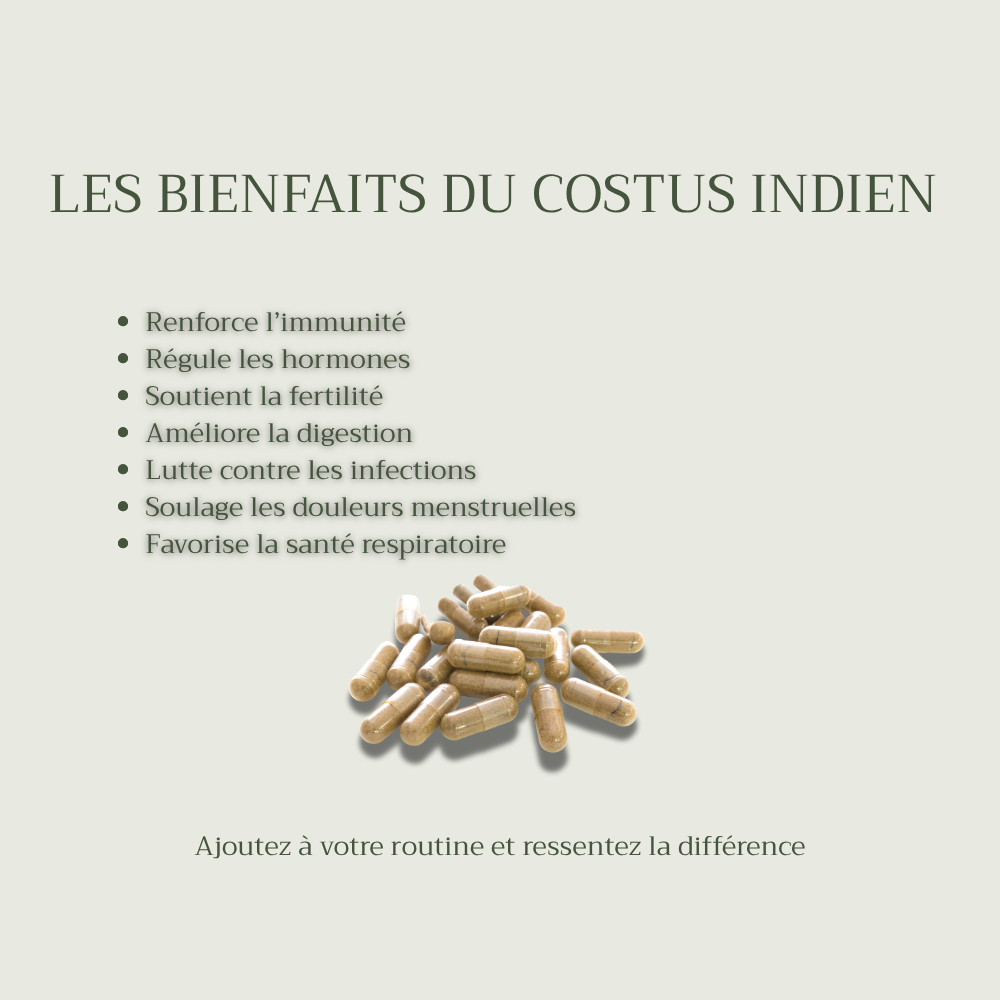 Costus Indien - Gélules