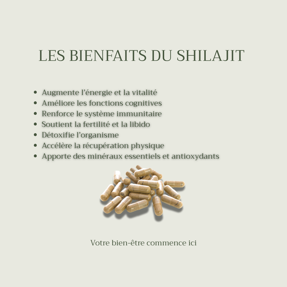 Shilajit - Gélules